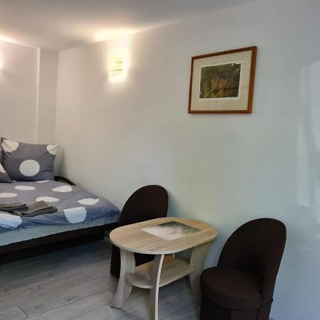Kawalerka W Kudowie Zdroj Apartment Kudowa-Zdroj Bagian luar foto
